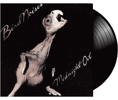 Bird Noises - 1980-Bird Noises - 1980 Midnight Oil New Wave Música Multimedia 