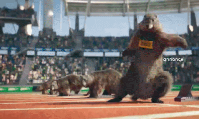100 mètres-100 mètres Les Marmottes Sports France 3 Canales - TV Francia Multimedia 