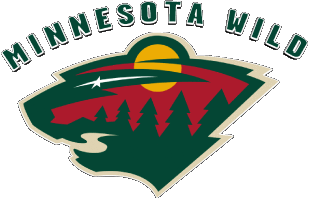 2000 B-2000 B Minnesota Wild U.S.A - N H L Hockey - Clubs Deportes 