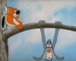 Multi Média Dessins Animés TV Cinéma Tex Avery Screwball Squirrel Video GIF 