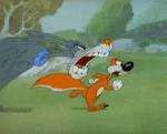 Multi Media Cartoons TV - Movies Tex Avery Screwball Squirrel Video GIF 