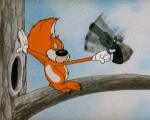 Multimedia Dibujos animados TV Peliculas Tex Avery Screwball Squirrel Video GIF 