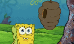 Multimedia Cartoni animati TV Film Sponge Bob Squarepants Video GIF 