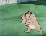 Multi Media Cartoons TV - Movies Tex Avery Cock-a-Doodle Dog 