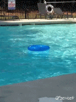 Humor -  Fun PEOPLE Pool Fail 