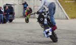 Humor -  Fun Transport Motorcycles Freestyle Fun Win 