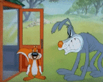 Multimedia Cartoni animati TV Film Tex Avery Screwball Squirrel Video GIF 