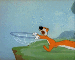 Multimedia Cartoons TV Filme Tex Avery Screwball Squirrel Video GIF 