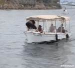 Umorismo -  Fun Trasporti Barche Cadute - Fail 