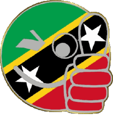 Bandiere America Saint Kitts e Nevis Faccina - OK 