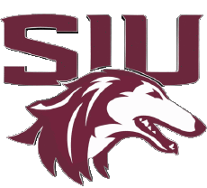 Sports N C A A - D1 (National Collegiate Athletic Association) S Southern Illinois Salukis 