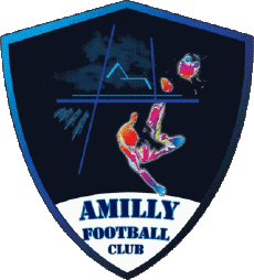 Sports FootBall Club France Centre-Val de Loire 28 - Eure-et-Loire Amilly FC 
