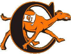 Sports N C A A - D1 (National Collegiate Athletic Association) C Campbell Fighting Camels 