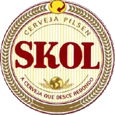 Boissons Bières Brésil Skol 