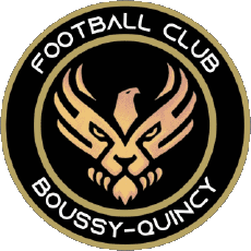 Sport Fußballvereine Frankreich Ile-de-France 91 - Essonne Boussy-Quincy FC 