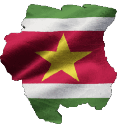 Bandiere America Suriname Carta Geografica 