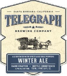 Winter ale-Bebidas Cervezas USA Telegraph Brewing 