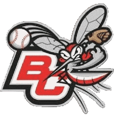 Sportivo Baseball U.S.A - Northwoods League Battle Creek Bombers 