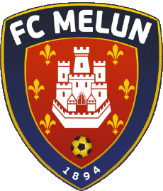 Sports Soccer Club France Ile-de-France 77 - Seine-et-Marne FC Melun 