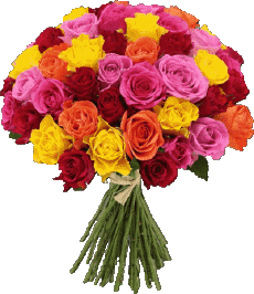 Messages Allemand Alles Gute zum Geburtstag Blumen 016 