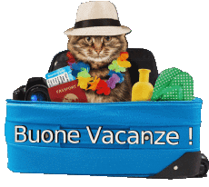 Mensajes Italiano Buone Vacanze 12 