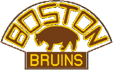 1926-Sport Eishockey U.S.A - N H L Boston Bruins 1926