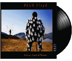 Delicate Sound of Thunder-Multi Média Musique Pop Rock Pink Floyd 