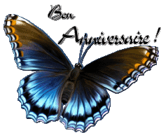 Messagi Francese Bon Anniversaire Papillons 006 