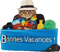 Mensajes Francés Bonnes Vacances 12 