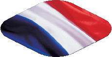 Banderas Europa Francia Nacional Oval 
