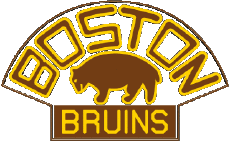 1926-Sport Eishockey U.S.A - N H L Boston Bruins 1926