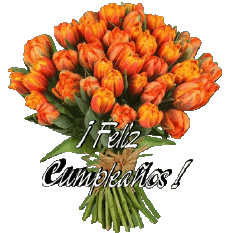 Messagi Spagnolo Feliz Cumpleaños Floral 012 
