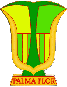 Sport Fußballvereine Amerika Logo Bolivien Club Atlético Palmaflor 