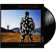 Delicate Sound of Thunder-Multi Média Musique Pop Rock Pink Floyd 