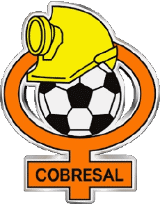 Sport Fußballvereine Amerika Chile Club de Deportes Cobresal 