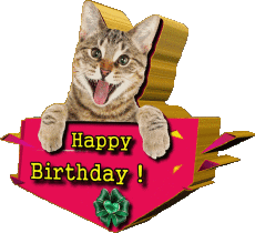 Nachrichten Englisch Happy Birthday Animals 002 