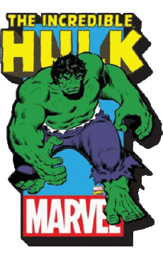 Multi Média Bande Dessinée - USA The Incredible Hulk 