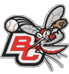 Deportes Béisbol U.S.A - Northwoods League Battle Creek Bombers 