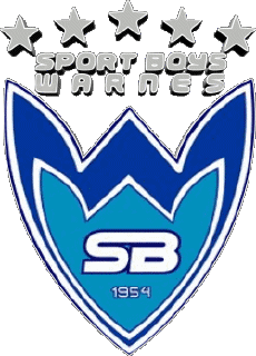 Sportivo Calcio Club America Logo Bolivia Sport Boys Warnes 