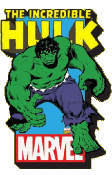 Multi Média Bande Dessinée - USA The Incredible Hulk 