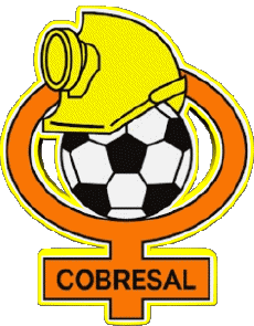 Sport Fußballvereine Amerika Chile Club de Deportes Cobresal 