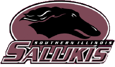 Sport N C A A - D1 (National Collegiate Athletic Association) S Southern Illinois Salukis 
