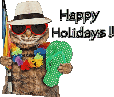 Messages Anglais Happy Holidays 30 