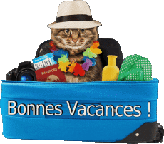 Mensajes Francés Bonnes Vacances 12 