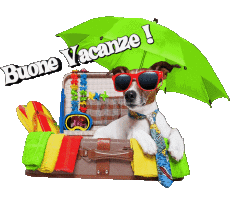 Messages Italian Buone Vacanze 11 