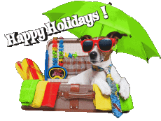 Messagi Inglese Happy Holidays 11 