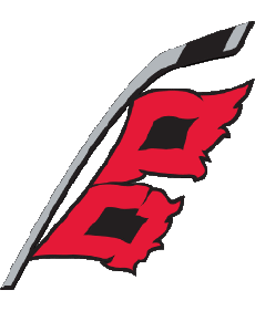 Sport Eishockey U.S.A - N H L Carolina Hurricanes 