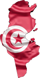 Bandiere Africa Tunisia Carta Geografica 
