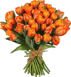 Messages Allemand Alles Gute zum Geburtstag Blumen 012 