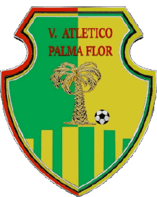 Sportivo Calcio Club America Bolivia Club Atlético Palmaflor 